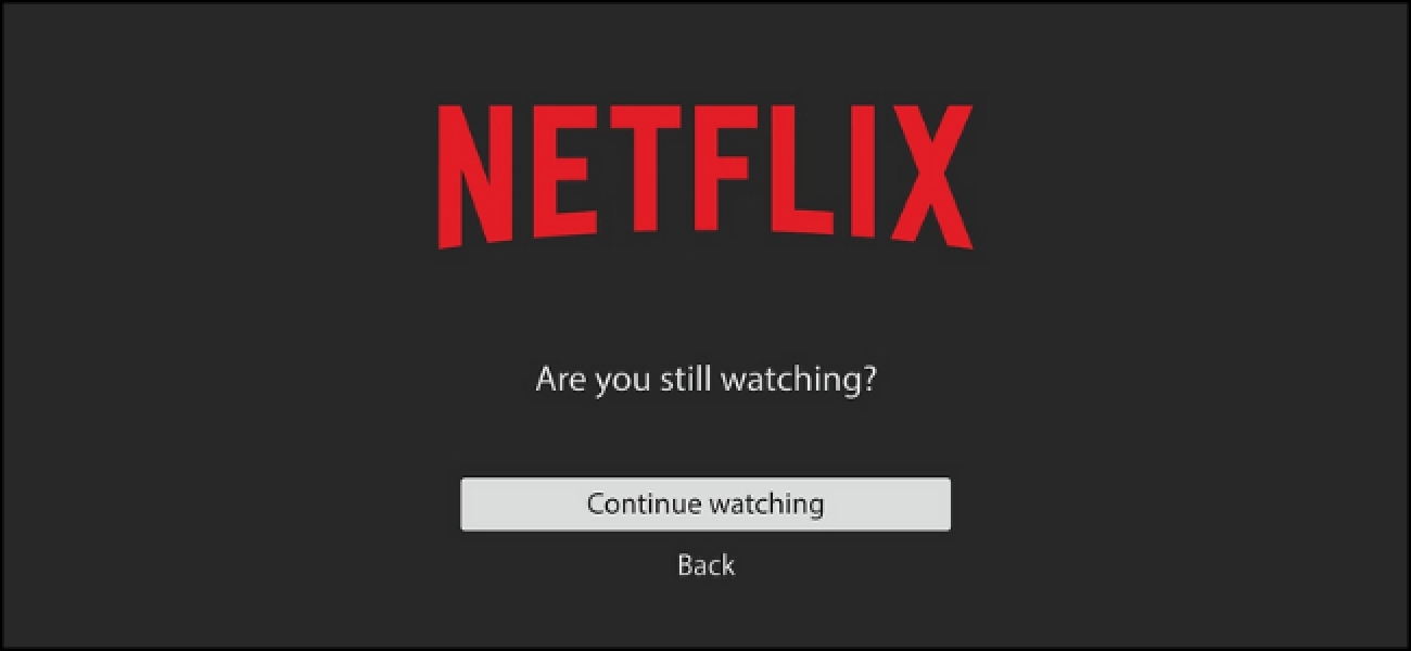 Are-You-Still-Watching-Netflix