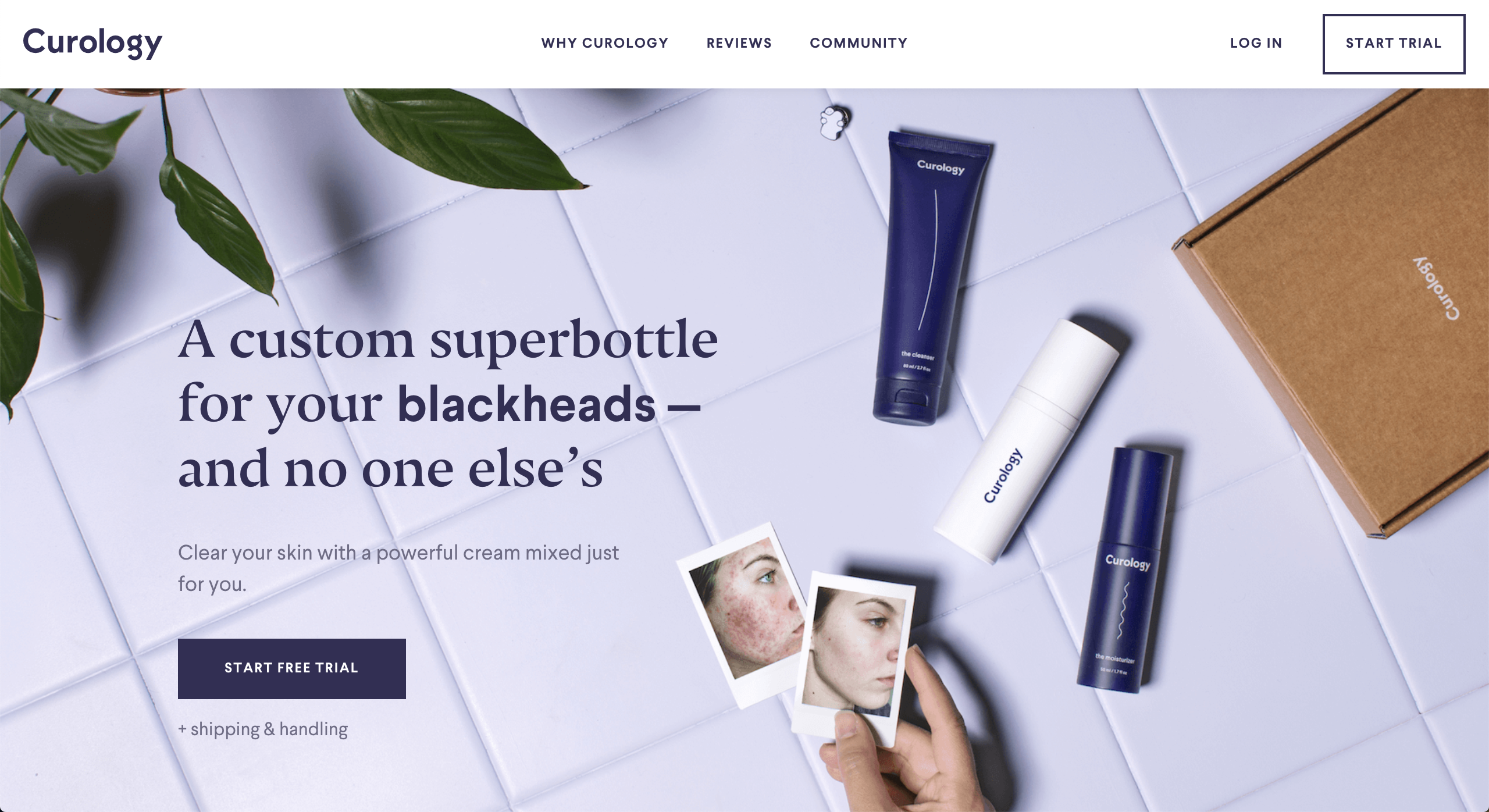 Creative-Design-vs-Functional-Design-curology