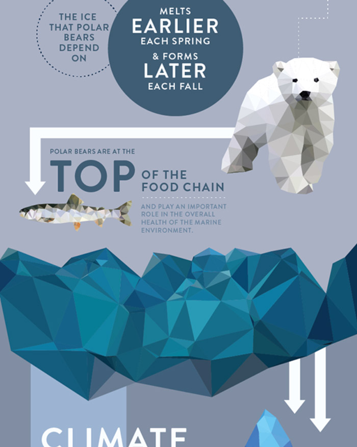 infographic-design-tips-polarbears-comp.jpg