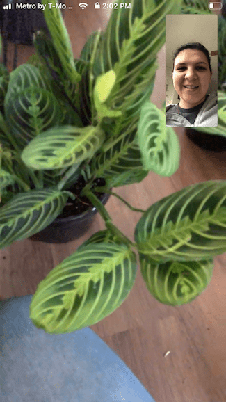 virtual-tour-digital