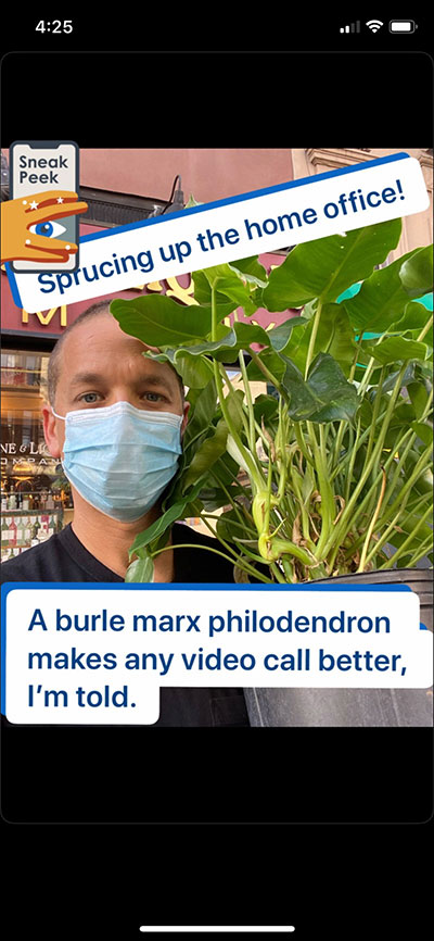 workspace-linkedin-stories