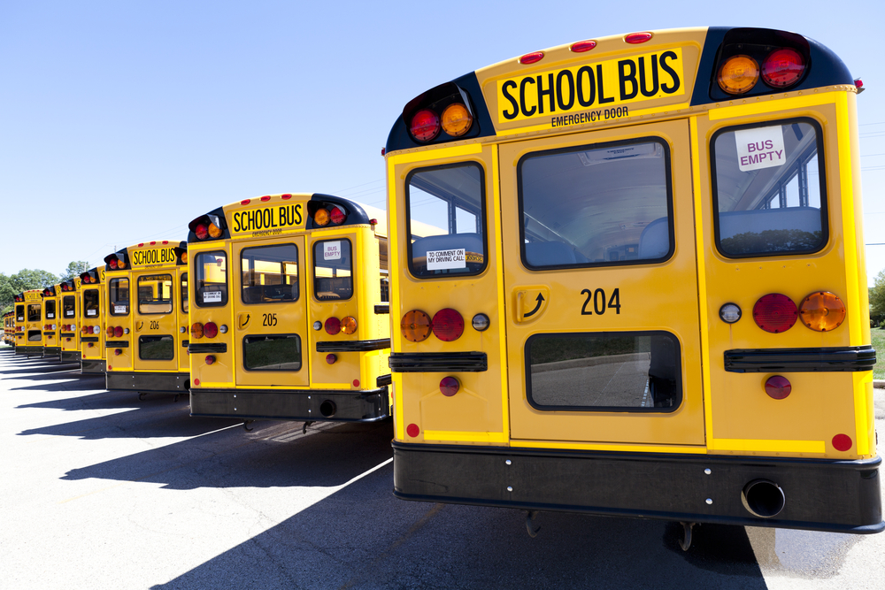 yellow-school-busses