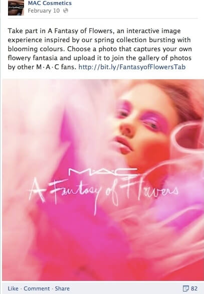 mac_facebook_campaign